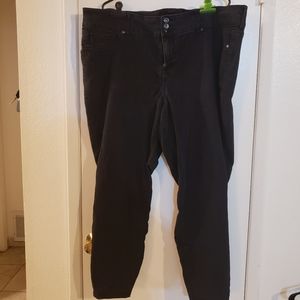 Plus Size Torrid Black Stretch Jeggings Size 26R